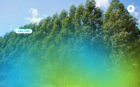 Curso Básico da floresta ao Produto Acabado (CP)